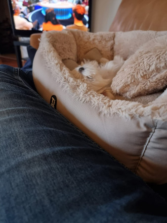 24-9-25 samen met papa op de bank